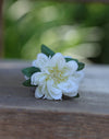CLIPS01-27-1