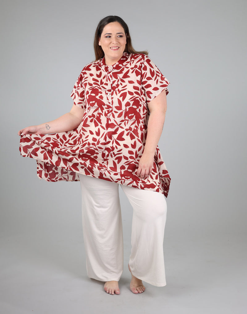 GORG--540-1